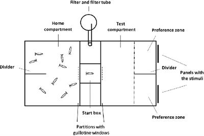 Food Quantity Discrimination in Angelfish (Pterophyllum scalare): The Role of Number, Density, Size and Area Occupied by the Food Items